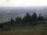 16 : 49