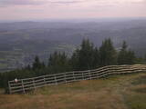 19 : 21