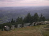 19 : 25