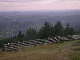 19 : 29