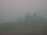 12 : 17
