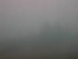 13 : 13