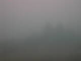 14 : 17