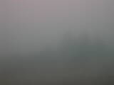 14 : 29