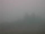 15 : 05
