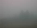 15 : 09