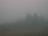 15 : 21