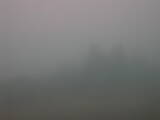 15 : 29