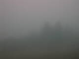 16 : 13