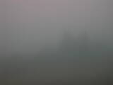 16 : 29