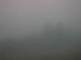 16 : 33