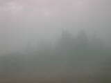 16 : 41