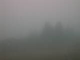 16 : 49