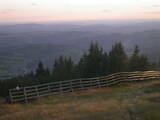 19 : 21
