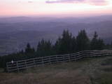 19 : 29