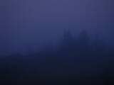 05 : 49