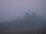 06 : 05