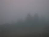 06 : 29