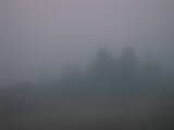 06 : 41