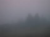 06 : 49