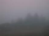 07 : 29