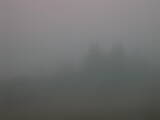 07 : 41