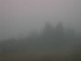 07 : 45