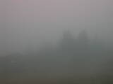 07 : 49