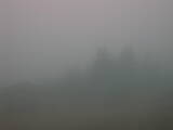 08 : 05