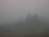 08 : 09