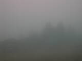 08 : 17