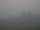08 : 29