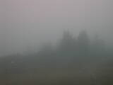 08 : 33