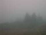 08 : 41