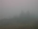 08 : 49