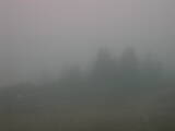 08 : 53