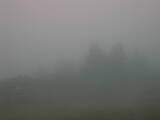 09 : 05