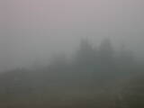 09 : 49