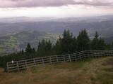 13 : 45