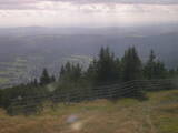 15 : 29