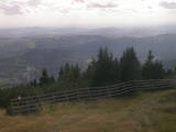 16 : 29