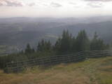17 : 17
