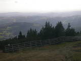 17 : 29