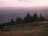 19 : 29