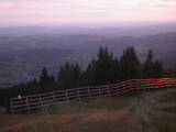 19 : 41