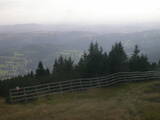16 : 49