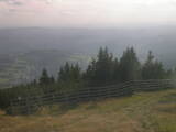 17 : 29