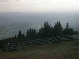 17 : 33
