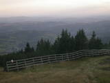 19 : 01