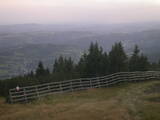 19 : 17